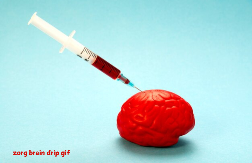 zorg brain drip gif
